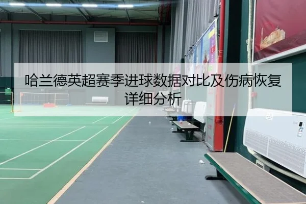 哈兰德英超赛季进球数据对比及伤病恢复详细分析